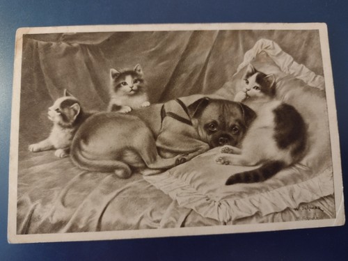 Vintage dog cat - vintage,