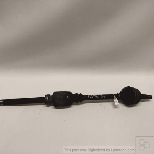 1481451080 semialbero ant - 1481451080,