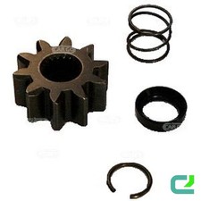 Pignone Starter 10 Denti