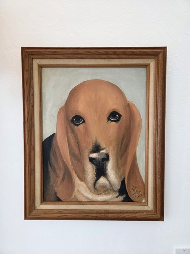 Bassett hound cane - bassett, ritratto