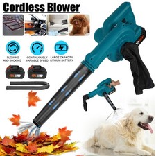 Soffiatore per foglie a