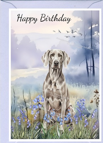 Biglietto compleanno cane - compleanno,