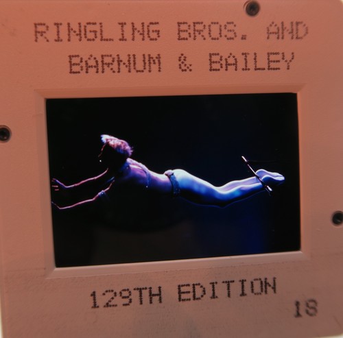 Ringling bros and barnum - ringling, bros.