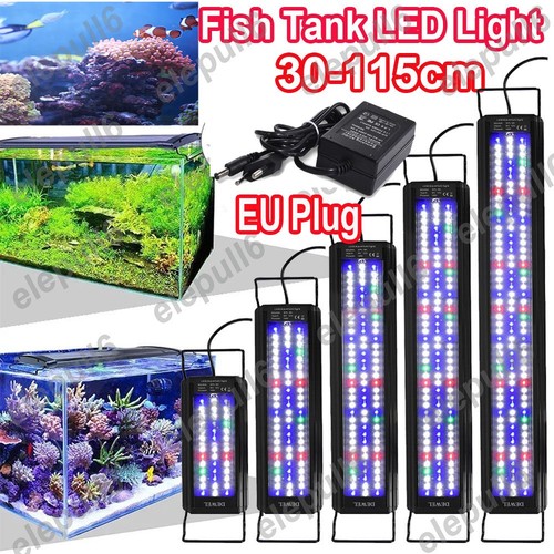 Lampada illuminazione acquario