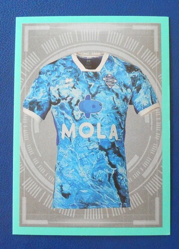 Figurina panini calciatori - figurina,