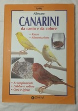 Allevare canarini da canto e