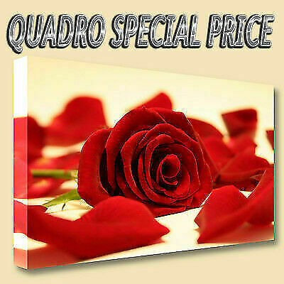 Quadri moderni tela 30x50 - quadri,
