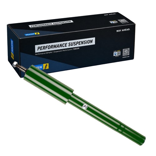Ammortizzatore pressione gas