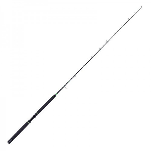 Canna traina akami souya - canna,