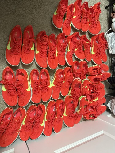 Nike zoomx dragonfly - 2, bright