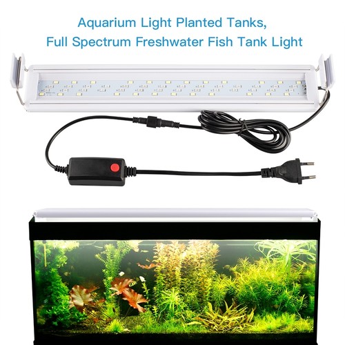 Illuminazione acquario led rgb - illuminazione,