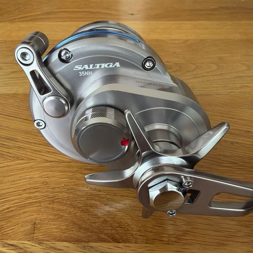 Daiwa saltiga 35nh - daiwa,