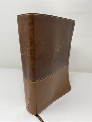 Amplified study bible - amplified,