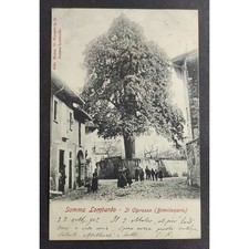 Cartolina Somma Lombardo - Il Cipresso (Bimillenario)