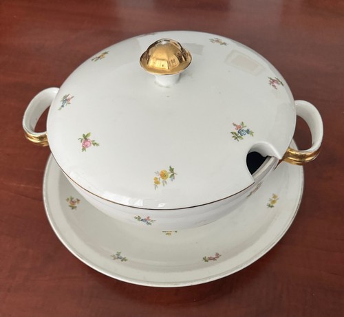 Zuppiera con piatto combinato - zuppiera,