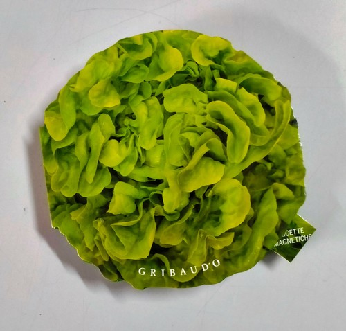 Insalate ricette magnetiche - ricette,