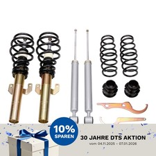 Dtsline Filetto Assetto