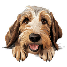 5 adesivi auto 18 x 18 cm Petit Basset Griffon Vendéen adesivi cani sticker