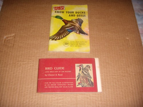Pair ducks and geese - and,