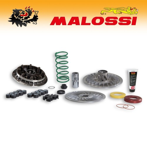 6118485 malossi trasmissione - 6118485,