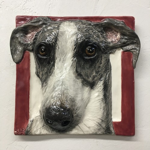 Greyhound whippet cucciolo - whippet,