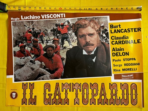 1963 leopardo gattopardo - il, il