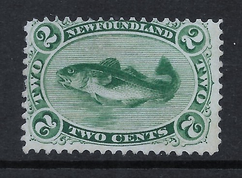 Canada terranova 1865 sg31 - canada, 1865-70