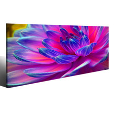 Modern paintings of flowers