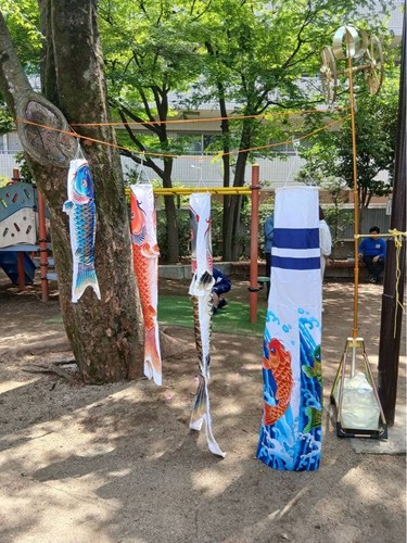 Carp streamer neo - carp, set