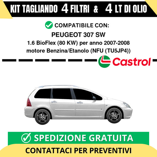 Tagliando per peugeot 307 - tagliando,