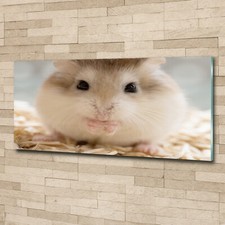 Tulup acrylic glass print - tulup, wall