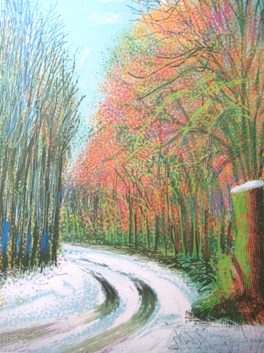 Litografia david hockney - litografia,