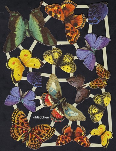Immagini lucide arcobaleno - lucide,