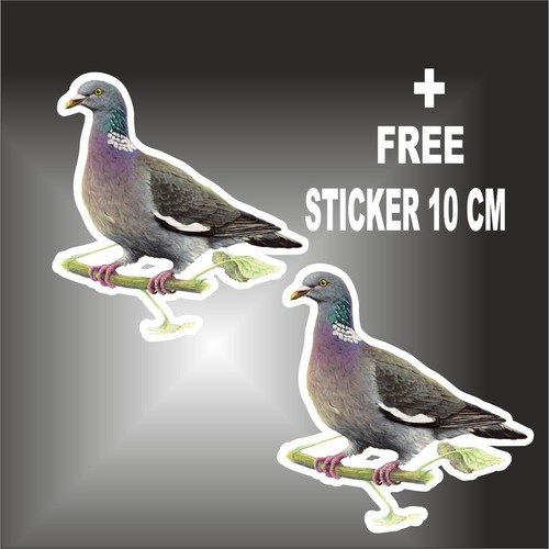Adesivo colombaccio sticker - ,