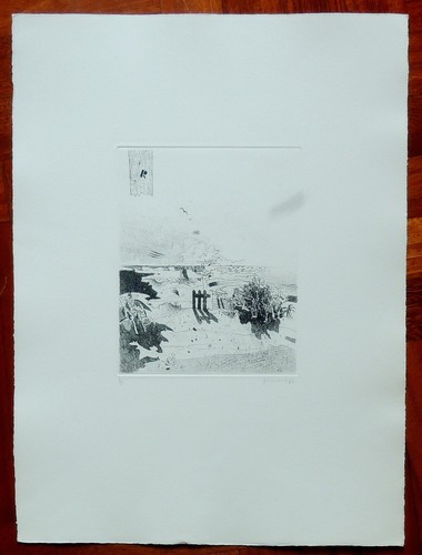 Gianfranco ferroni acquaforte - gianfranco,