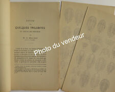 Paléontologie: Œhlert