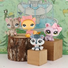 5PCS Pet Shop Gatto a pelo