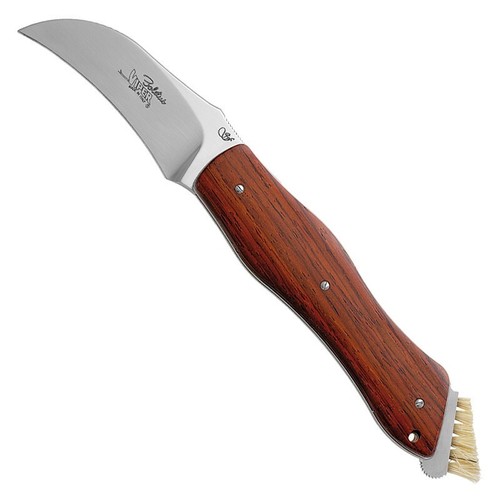 Coltello chiudibile funghi - coltello,