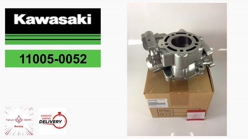 Cilindro motore kawasaki - motore, oem