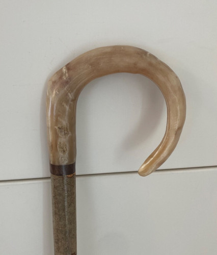 Rams horn crook nocciola - rams, su