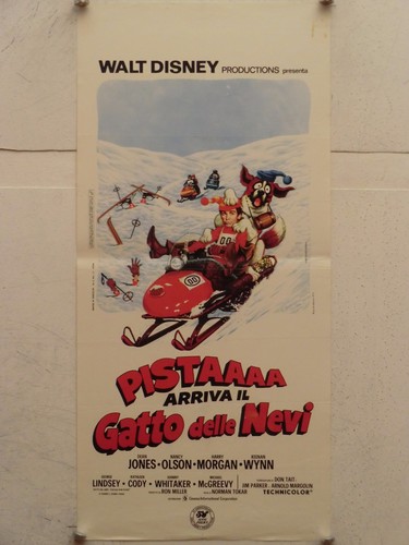 Pista arriva gatto - pista,