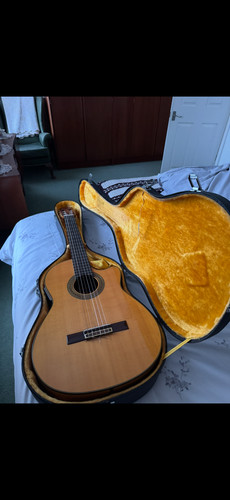 Chitarra acustica - chitarra,