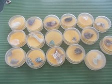 17 CAPSULE RACCOLTA MINERALI GEMME ANNI '70 VINTAGE 