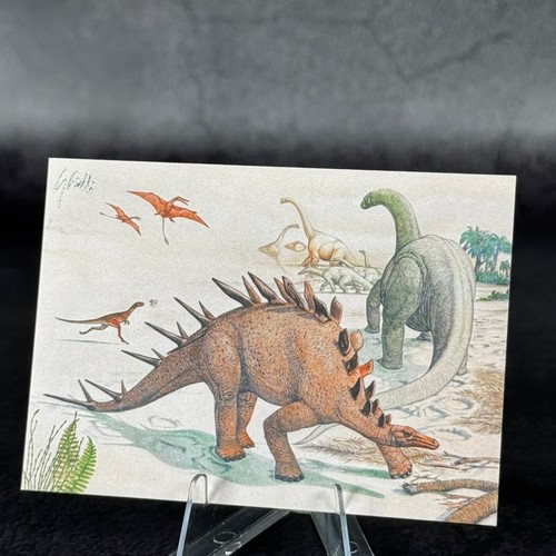Dinosauri d africa - dinosauri, by