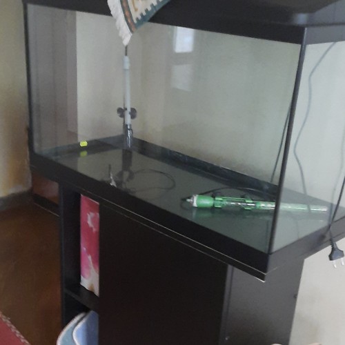 Acquario rettangolare - acquario,