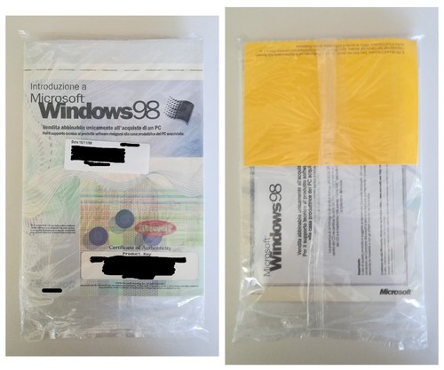 Microsoft windows manuale - windows, 98