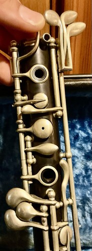 Raro oboe monopolare - , couesnon