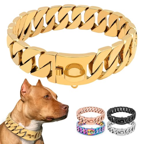 Collare per cani - spesso, lusso