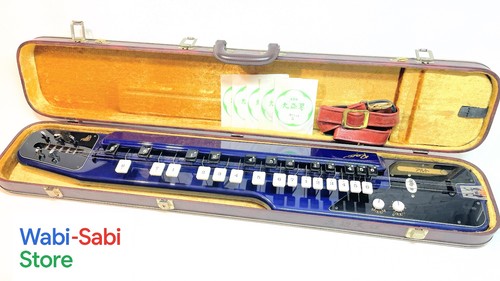 Raro taishogoto elettrico - raro,