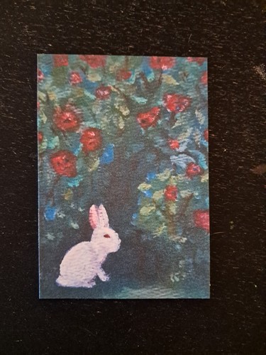 Stampa aceo coniglio bianco - aceo,